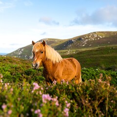 Horse in meadow, hills background
