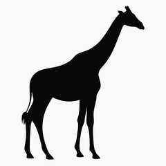 Giraffe Silhouette Black Vector Minimalist Animal Outline Design