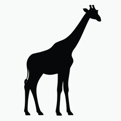 Giraffe Silhouette Black Vector Minimalist Animal Outline Design
