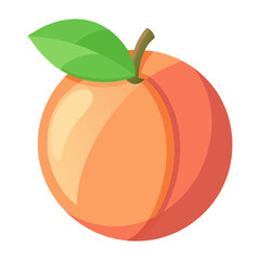 vector illustration of an orange