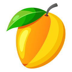 orange fruit vector illustration
