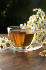 Aromatic tea in glass cup and chamomile flowers on wooden table, closeup