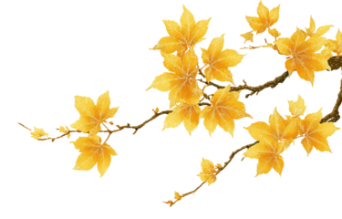 Golden autumn leaves on branches