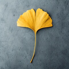 Naklejka premium Golden ginkgo leaf on textured gray backdrop evokes autumnal beauty and peaceful serenity for mindful designs and wellness branding projects or artistic creations