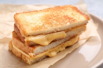 Tasty sandwiches with melted cheese and parsley on plate, closeup