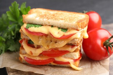 Tasty sandwiches with melted cheese, tomatoes and parsley on table, closeup
