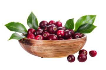 Fresh cranberries in wooden bowl with leaves, healthy eating concept