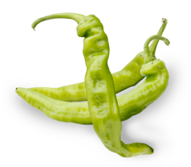 two green anaheim peppers in a studio setting