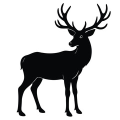 wapiti vector