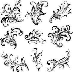 Elegant Floral Swirl Vectors Collection