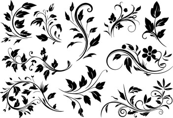 Obraz premium Elegant Floral Swirl Vectors Collection