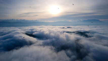 Aerial view of flock of birds flying over misty mountain with the sun during morning