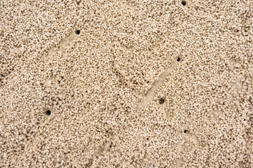 Natural pattern of Sand bubbler crab made spherical sand balls covered the beach on seashore