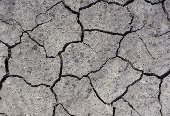 gray Cracked Earth Texture Close-up of Dry, Arid Land Surface