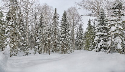 Russia. Kuznetsk Alatau. Winter view of the holiday village of Borisovka among the snow-covered impassable taiga on the banks of the Tom River.