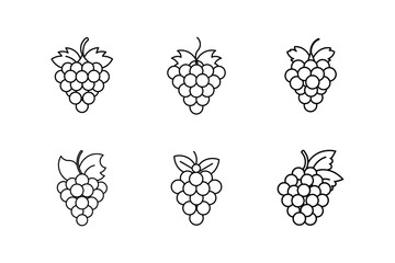 wine festival grapes line art vector illustration