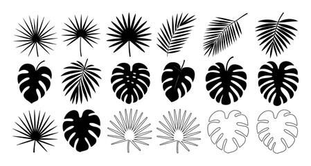 Collection of Black Silhouettes of Tropical Leaves and Monstera palm leaf tropical leaf © pixelVista