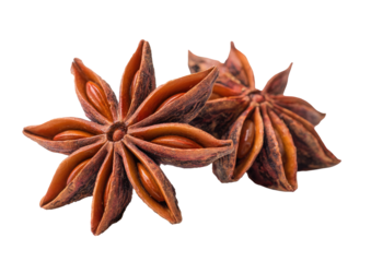 Close-up of two star anise spice pods.  The warm brown color of the star-shaped pods is highlighted against a black background.  The interior seeds are visible within the star's crevices