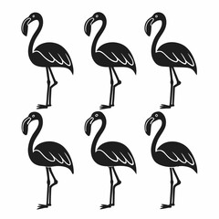 Obraz premium Set of black silhouette flamingo birds isolated on white background for design and decoration