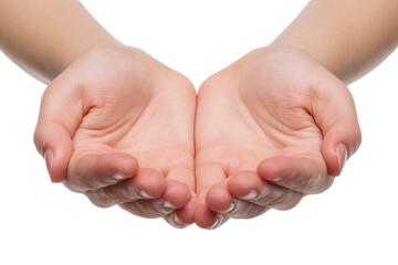 Two hands cupped, palms facing forward.  Soft, light skin tone.  Close-up view.  Visible details of hand structure
