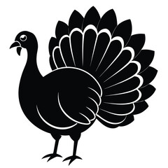 A vector illustration of a funny turkey and a cute peacock, along with other farm birds