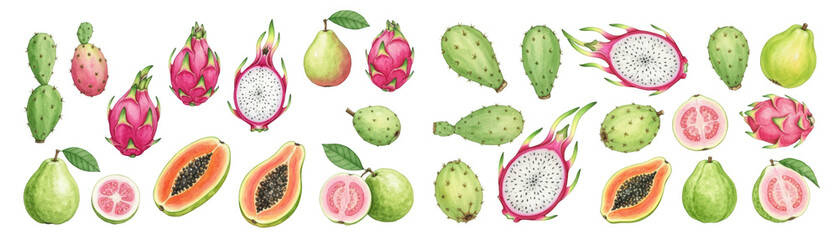 Fototapeta premium Vibrant assortment of exotic fruits, featuring dragon fruit, guava, and papaya against a bright backdrop.