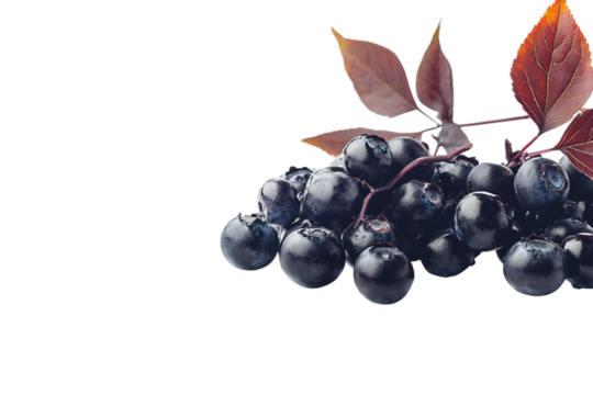 Healthy handful of blueberries isolated on transparent background - Powered by Adobe