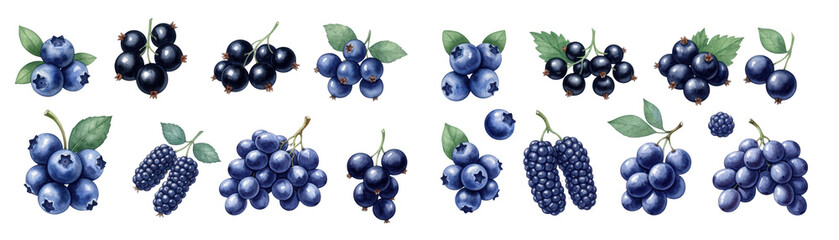 A vibrant collection of assorted berries including blueberries, blackberries, and currants.