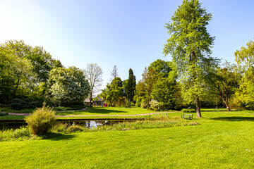 Botanical garden landscape with trees, pond surrounded by green grass, lush vegetation and leafy trees against blue sky in background, sunny day in Kerkrade, Netherlands