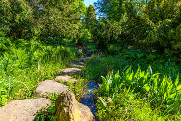 Stone Walkway Over Pond Amidst