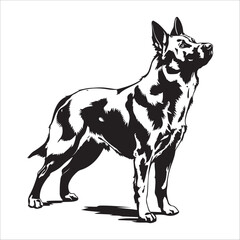 Dog silhouette vector Illustration:  Alert, Muscular Canine Standing on Rocky Ground, Vintage Style.