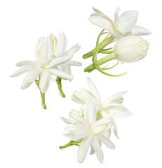 fragrant white jasmine flowers for serenity