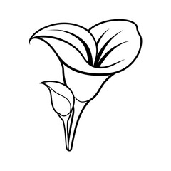 calla lily flower line art