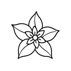 stephanotis flower