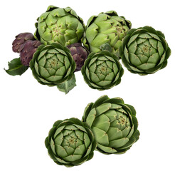 Fototapeta premium fresh green and purple artichokes on a transparent background