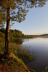 Fototapeta premium sunset on the lake. Belarus