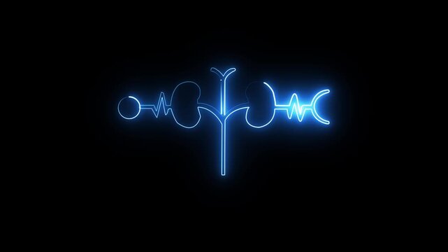 glowing kidney icon 4k animation by cyan pink neon on black background. Glowing Human kidney icon animation. Glowing neon human kidneys.heart symbol.