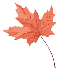 Obraz premium PNG Autumn leave plant leaf tree.