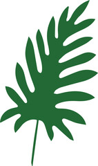 green plant leaf isolated on white