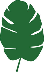 green plant leaf isolated on white