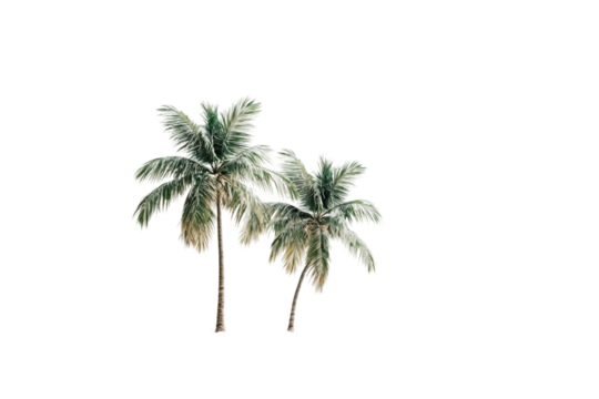 Seaside beach holiday isolated on transparent background