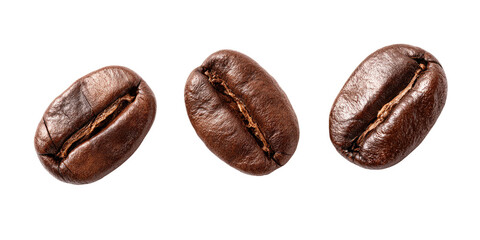 Three roasted coffee beans, top view