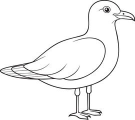 Simple seagull outline illustration in black and white with calm expression ideal for coloring pages and educational resources