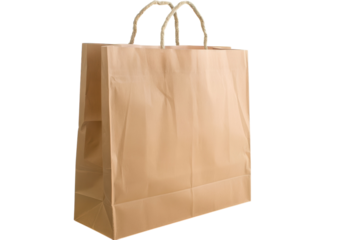 Brown paper shopping bag with rope handles for retail use