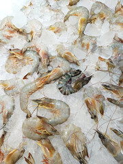Fresh, raw shrimp and prawns on a bed of crushed ice, a common sight at a seafood market or a restaurant.