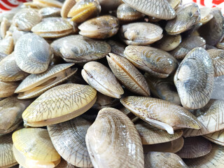 Naklejka premium A close-up of a large pile of fresh clams, some open, with their patterned shells visible, displayed for sale at a seafood market.