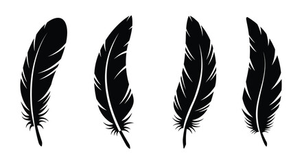 Four black feather silhouettes on a white background in different orientations
