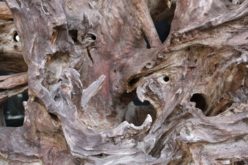 driftwood  background