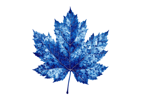 A stylized, vibrant blue maple leaf. Intricate veins. Detailed texture. Dark background - Powered by Adobe