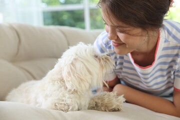 Happy teenage girl with cute Maltese dog on sofa at home